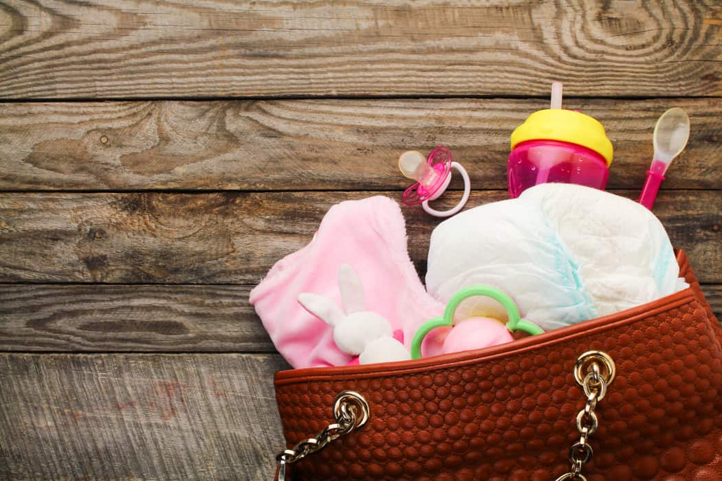 Best Diaper Bag for Twins and for Stylish Moms 2018 Reviews Header 2