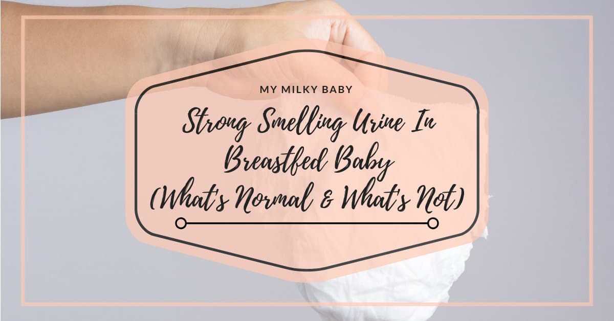 Your Breastfed Baby Urine Smells Strong Here is When It's Time To Call a Doctor Header